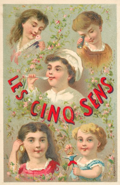 Los cinco sentidos de French School